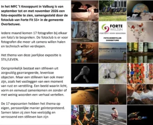 Werktditzo